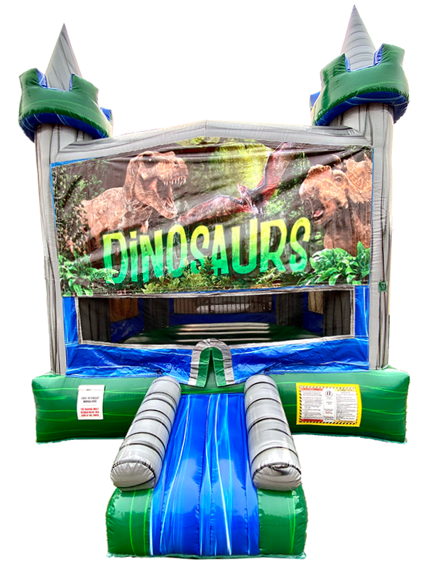 Themed bounce houses